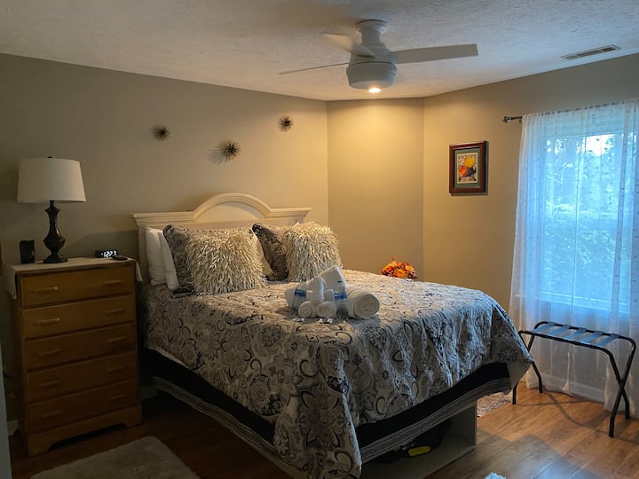 Нова светлина с акцент и вентилатор на тавана с дистанционно управление/светлина в стаята на Денис за 2023 г.