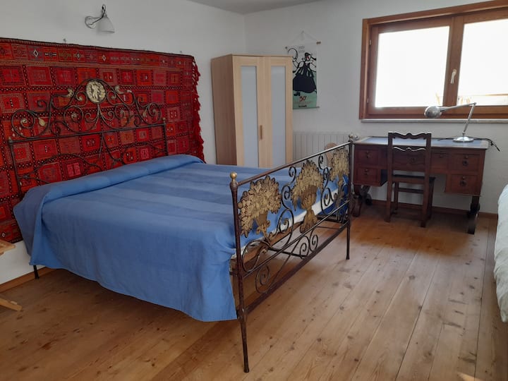 غرفة نوم وقبو متعدد الأغراض مع إمكانية الوصول المباشر إلى الحمام الثاني/غرفة كبيرة في الطابق السفلي (الغرفة 5)