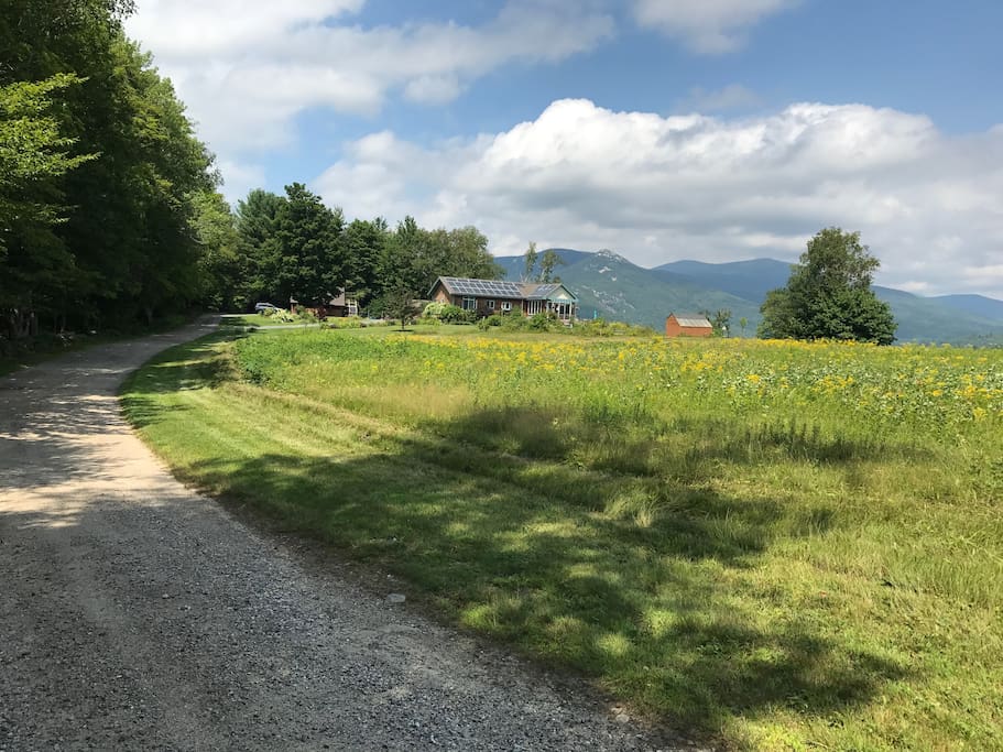 Private Road to main house/cabin