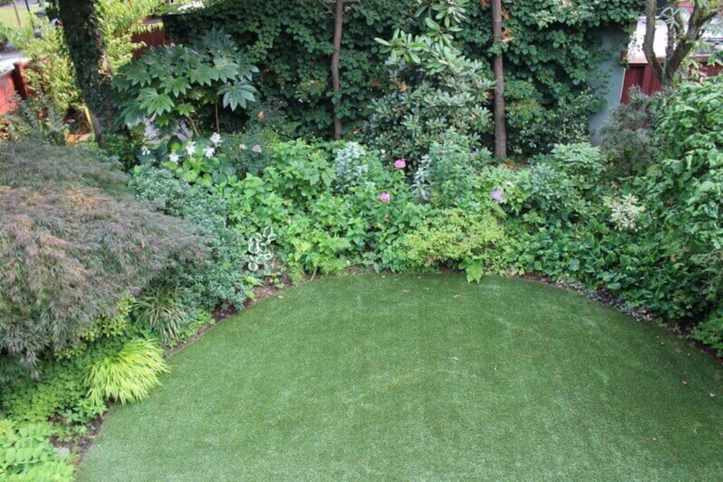 Back garden