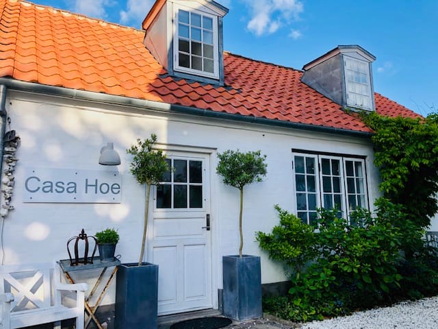 Download Rosmarin strand etvaerelses leje HD Rosmarin Strand Etvaerelses Leje