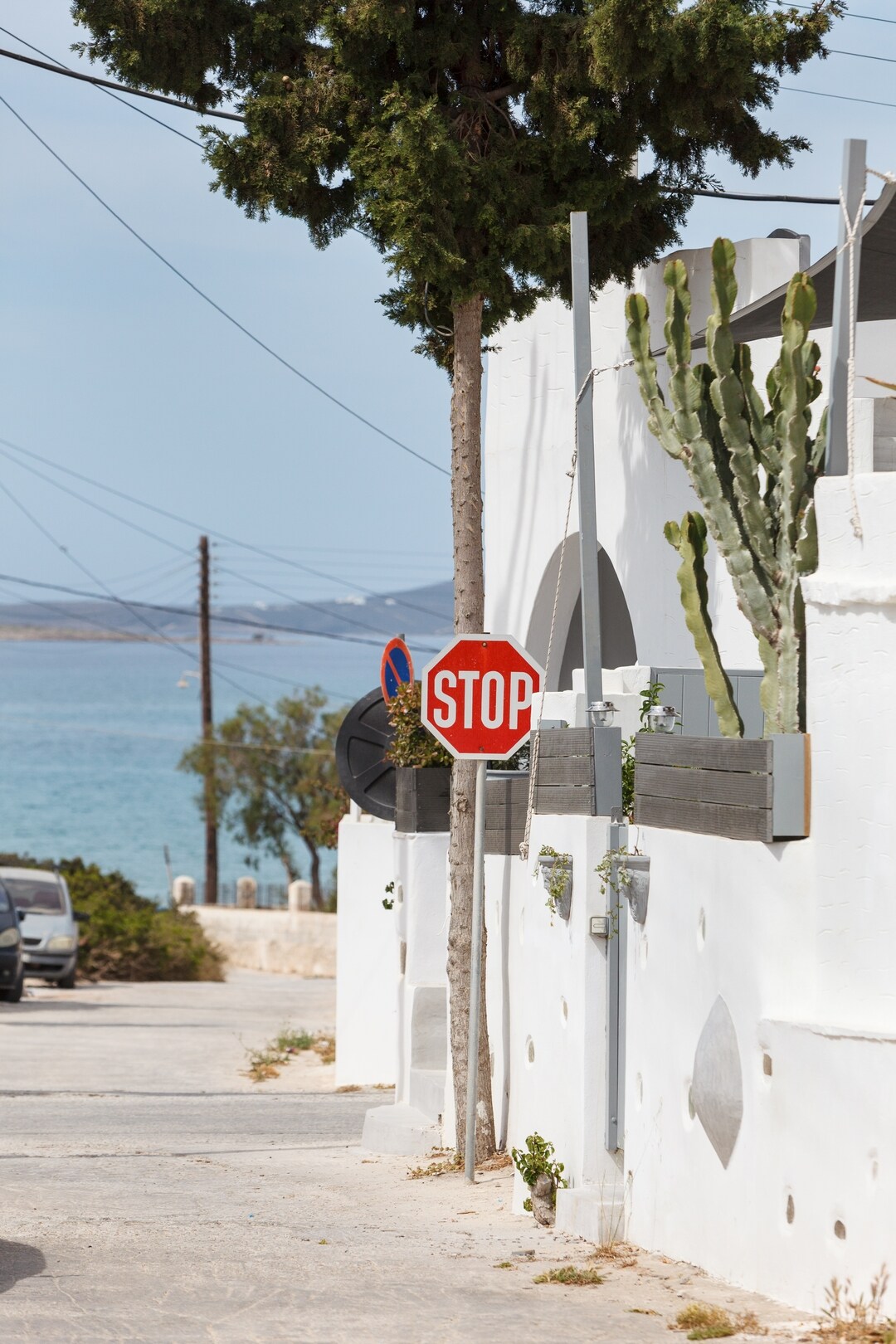 A stop sign is positioned on a narrow street lined with a white wall, with a tree and cactus nearby. The ocean is visible in the background, providing a serene view of the coastal area.