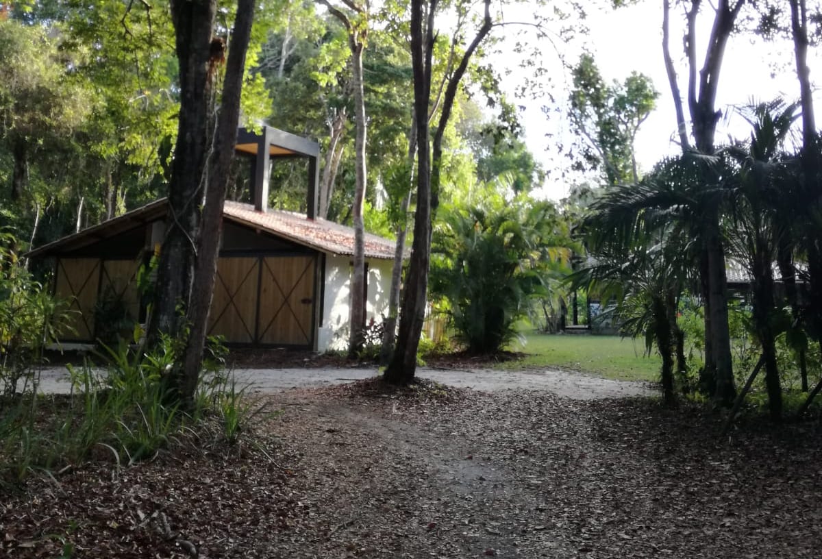 A pathway lined with fallen leaves leads to a cozy building nestled among tall trees and lush greenery. The structure displays a wooden exterior with an overhanging roof, surrounded by tropical plants, evoking a serene natural setting.