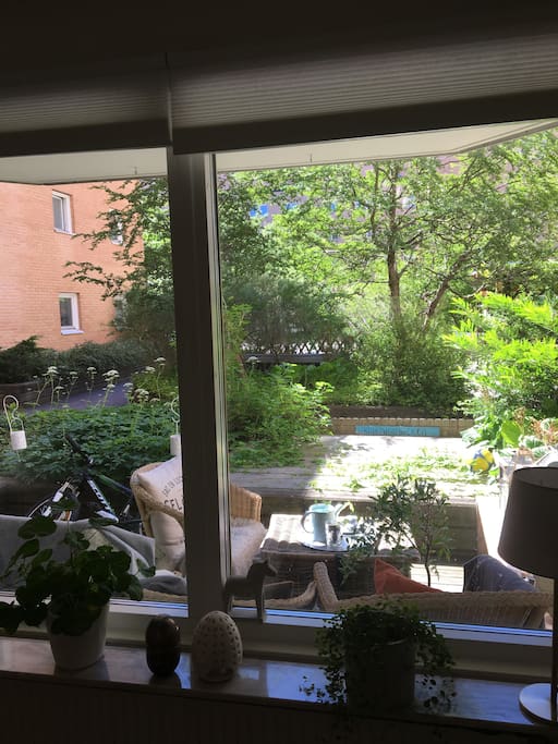 Utsikten från matplatsen.