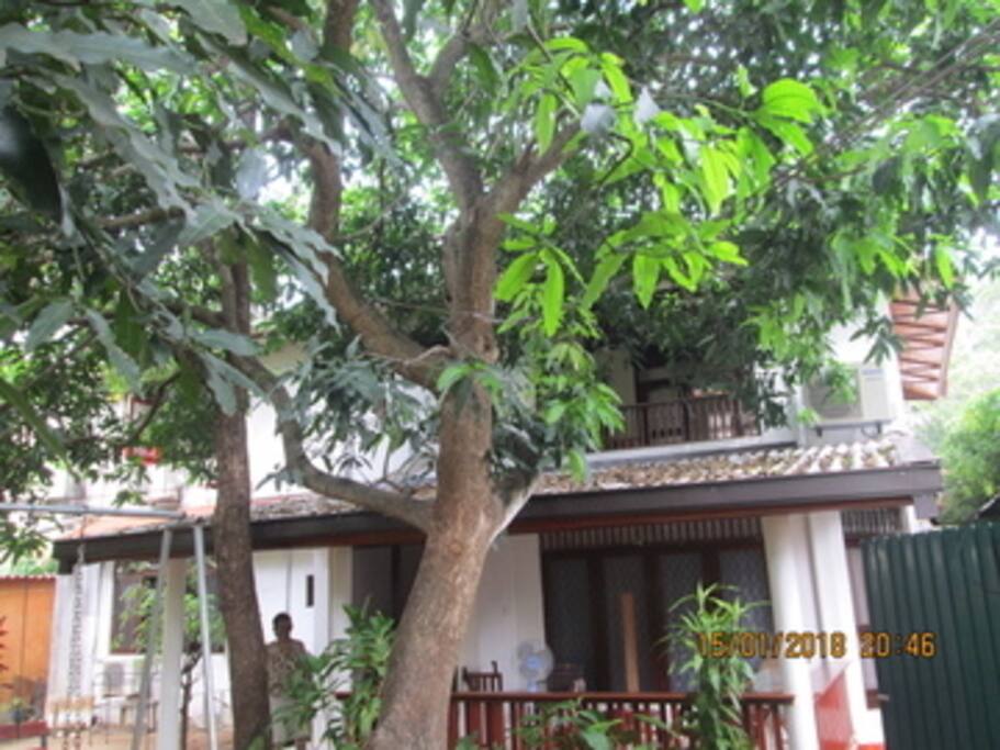 Green Rest