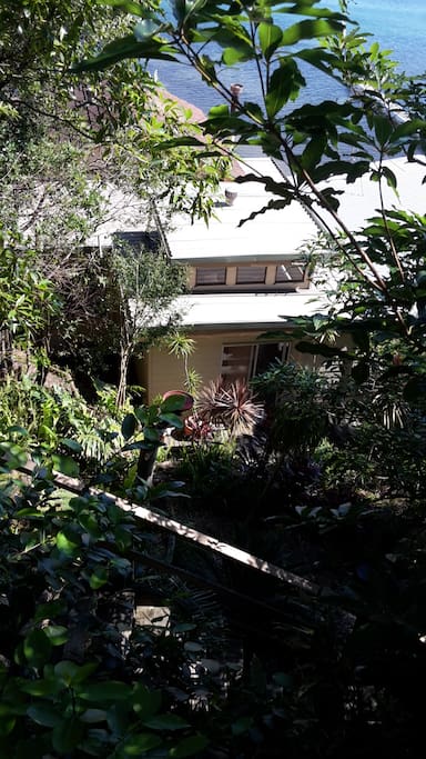 View of house and garden from steps
