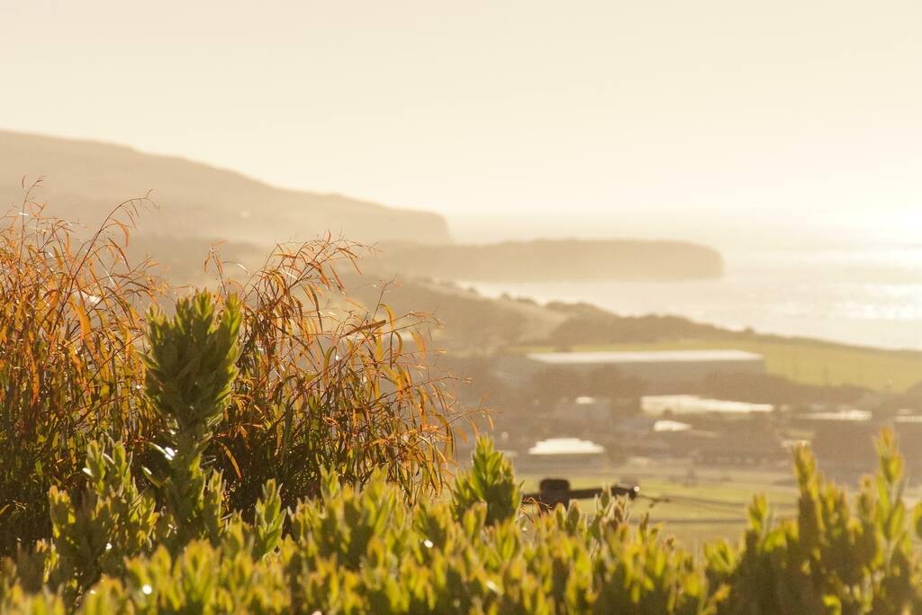 Watch the natural daily light show over the beach and headland from all the living spaces.