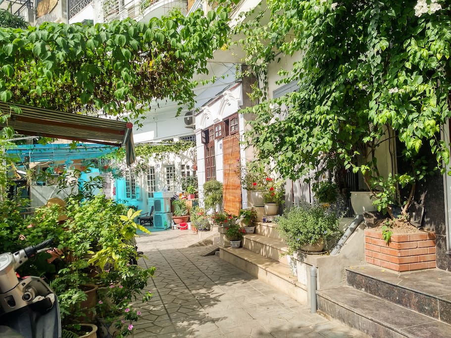 Alley