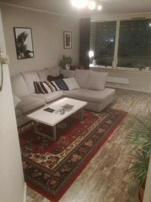 Big comfortable couch that can work as an extra bed. Nice view from the living room and the 8 square meter balcony