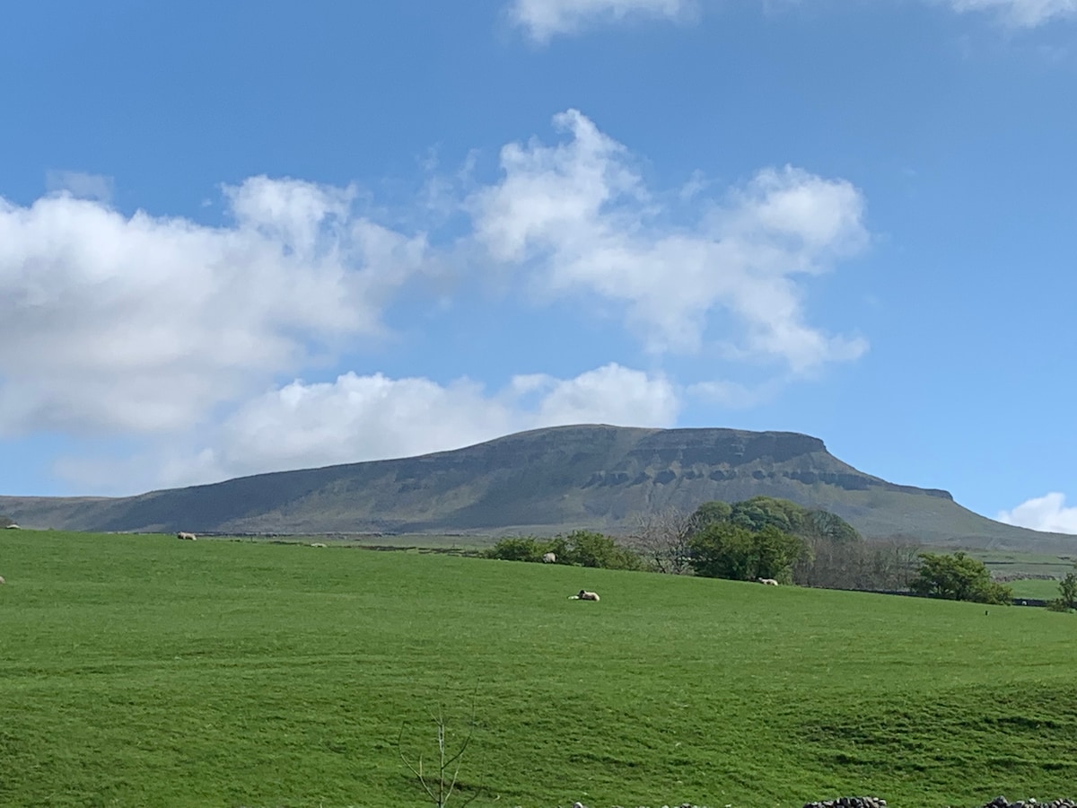 A verdant landscape features rolling green fields with grazing cattle. In the distance, a prominent hill rises under a bright blue sky, dotted with fluffy clouds. The natural scenery captures a serene outdoor environment within the Yorkshire Dales.