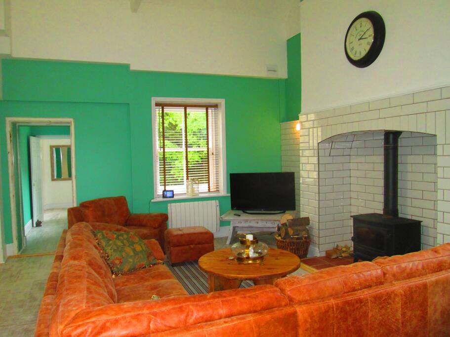 Living room Vaulted Ceiling