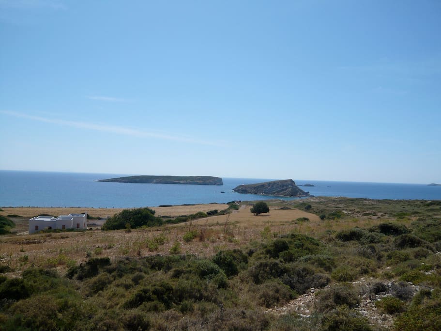 la maison et le terrain