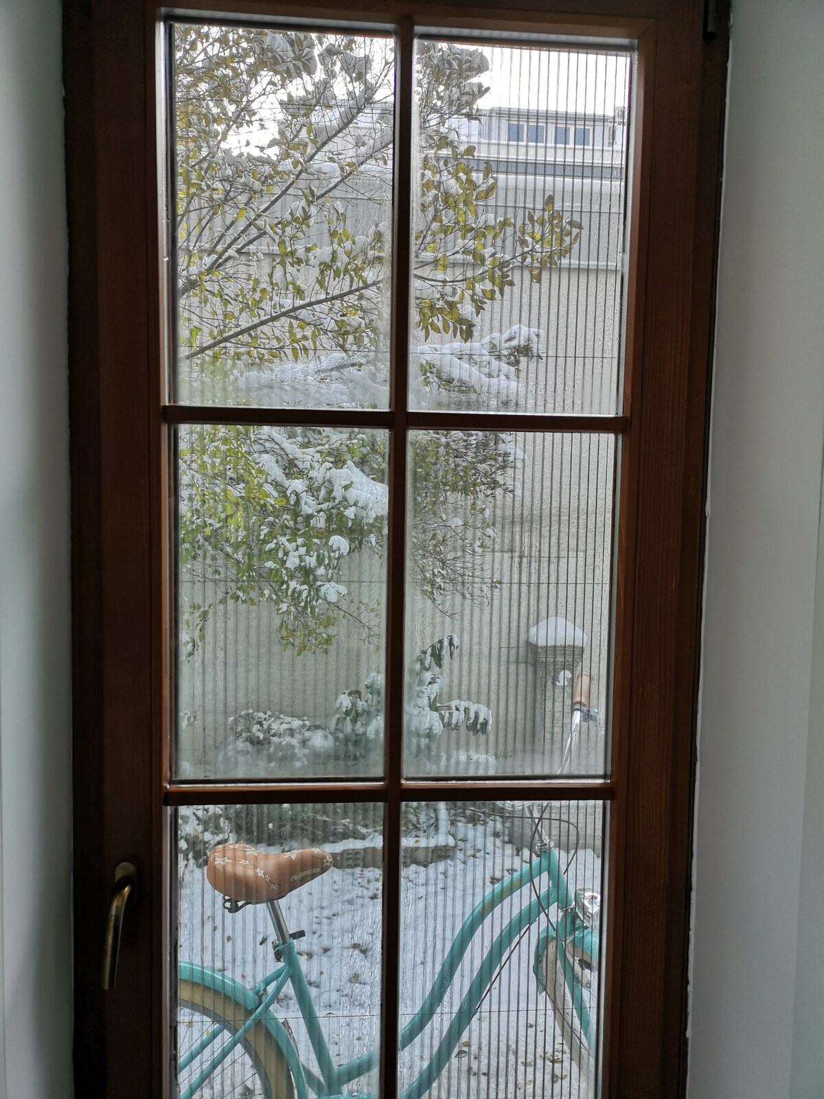 výhľad zo spálne na zasnežený dvor.