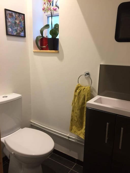 Downstairs toilet