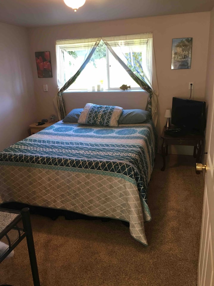 חדר אחד עם נוף לגינה, נגן DVD, מאוורר 