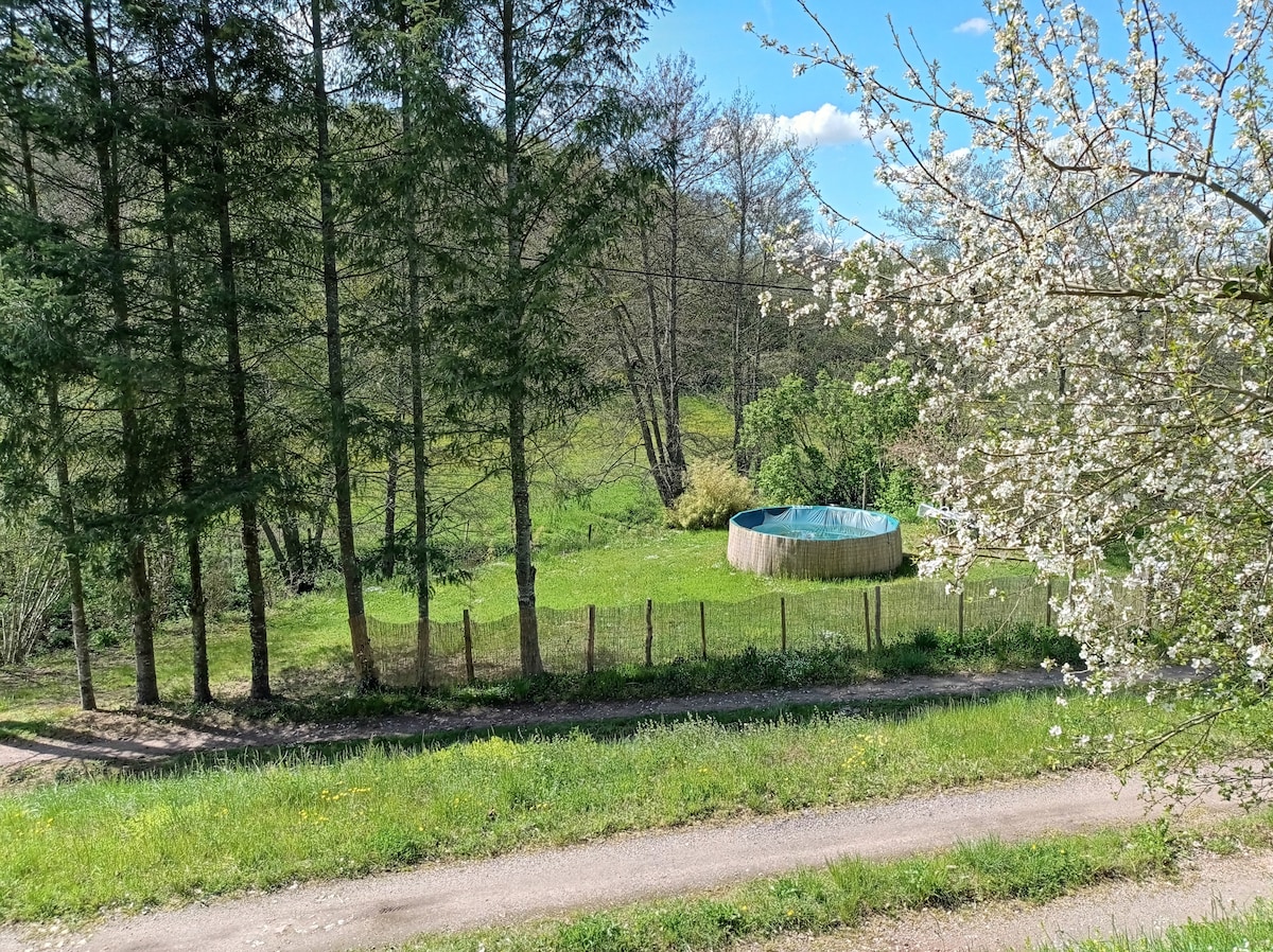 A grassy area is visible, surrounded by mature trees and blooming flowers. A circular above-ground pool is centrally located within the green space, providing a refreshing option for relaxation. A gravel pathway leads up to the area, connecting nature with accessibility.