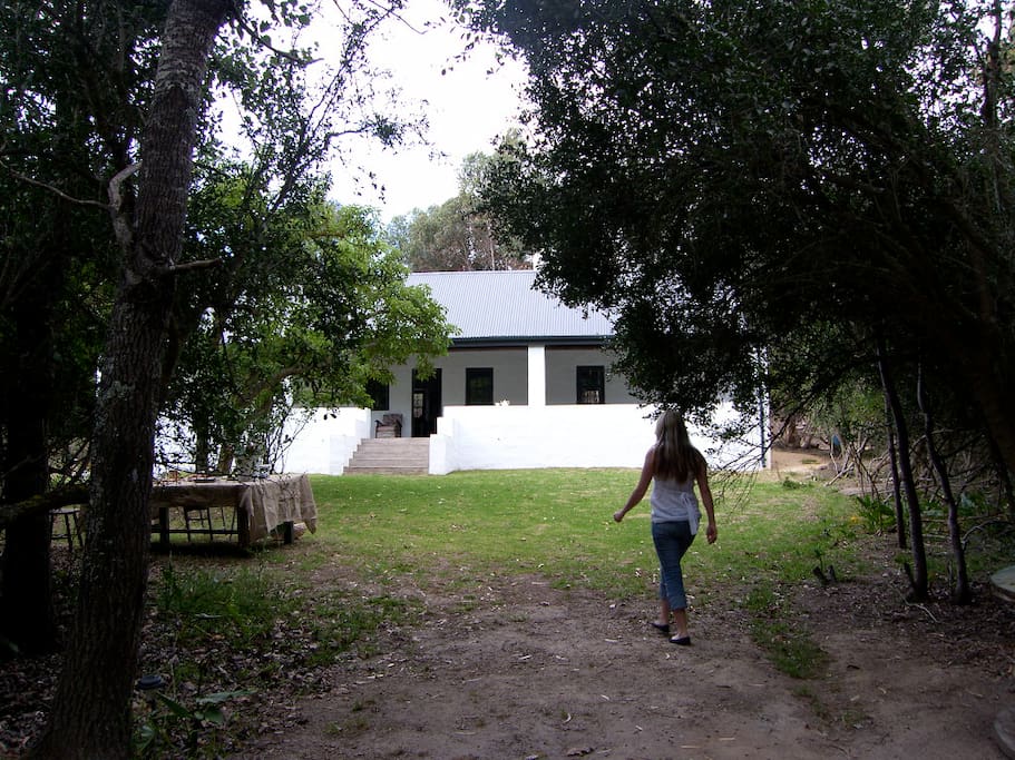 The cottage is set in a private glade near the little forest