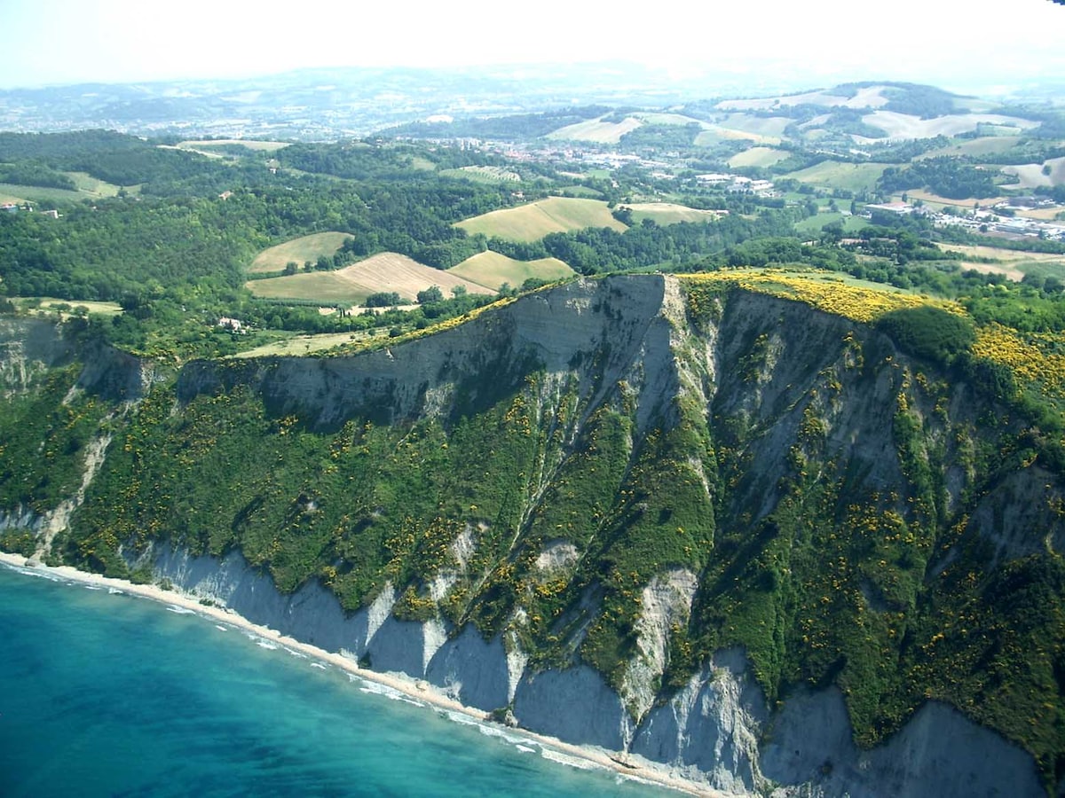 A panoramic view of a rugged coastline reveals steep cliffs adorned with greenery, leading down to a serene blue sea. Rolling hills are visible in the background, interspersed with fields and lush vegetation, creating a harmonious natural landscape.