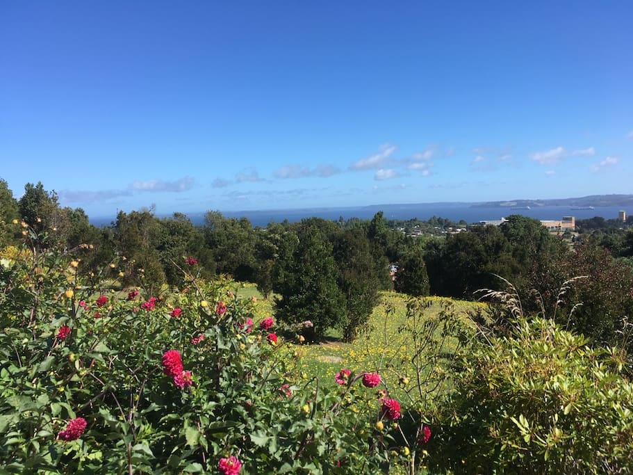 Vista desde terraza