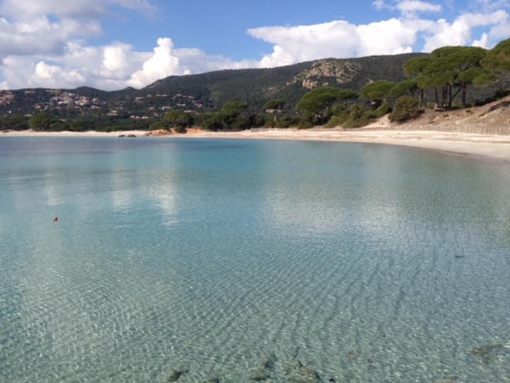 Villa Plage De Palombaggia. - Porto-Vecchio