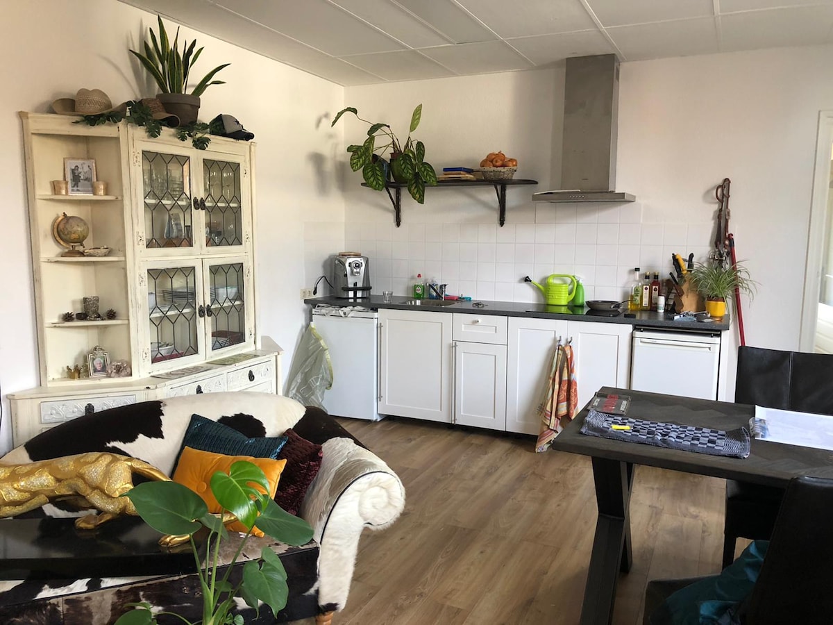 A cozy living area features a comfortable sofa with a cowhide pattern, surrounded by green plants. An adjacent kitchen showcases white cabinetry, a sleek countertop, and various kitchen appliances. A dining table is visible, complemented by decorative elements on the walls.