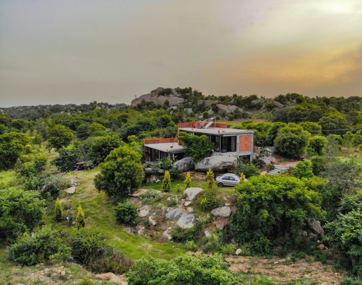 The earth house is positioned among lush greenery and boulders, surrounded by trees that create a peaceful setting. A driveway leads to the entrance, with a flag flying above. The soft evening light adds warmth to the natural landscape.