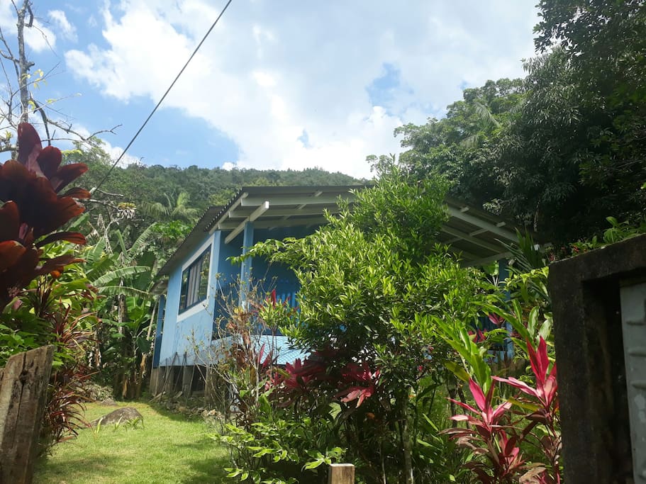 Entre verde mata e praia.
