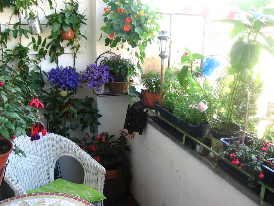 Balcony