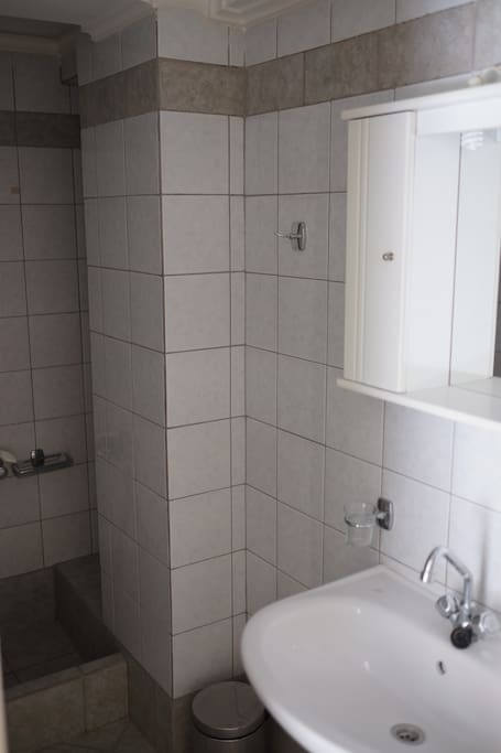 Bathroom (pic.1)