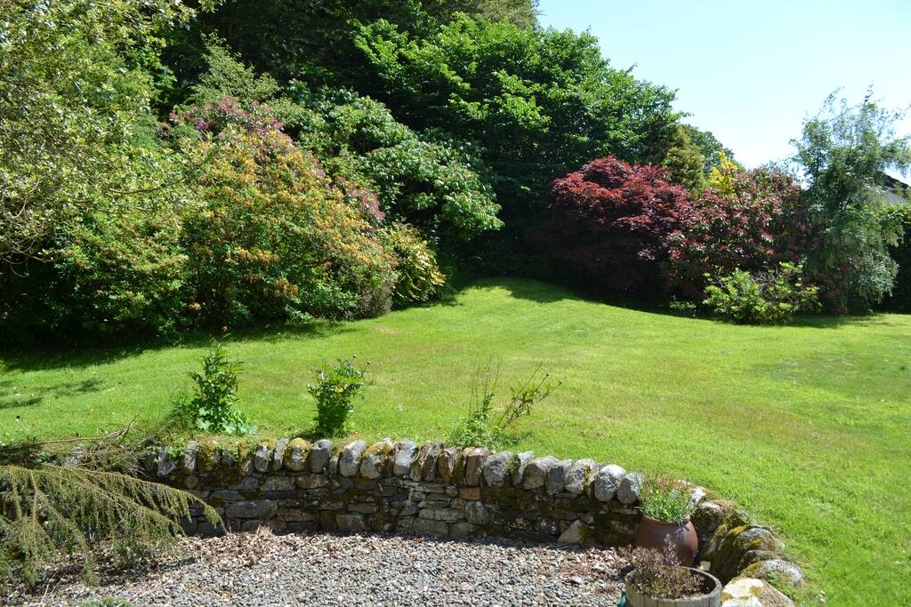 The garden