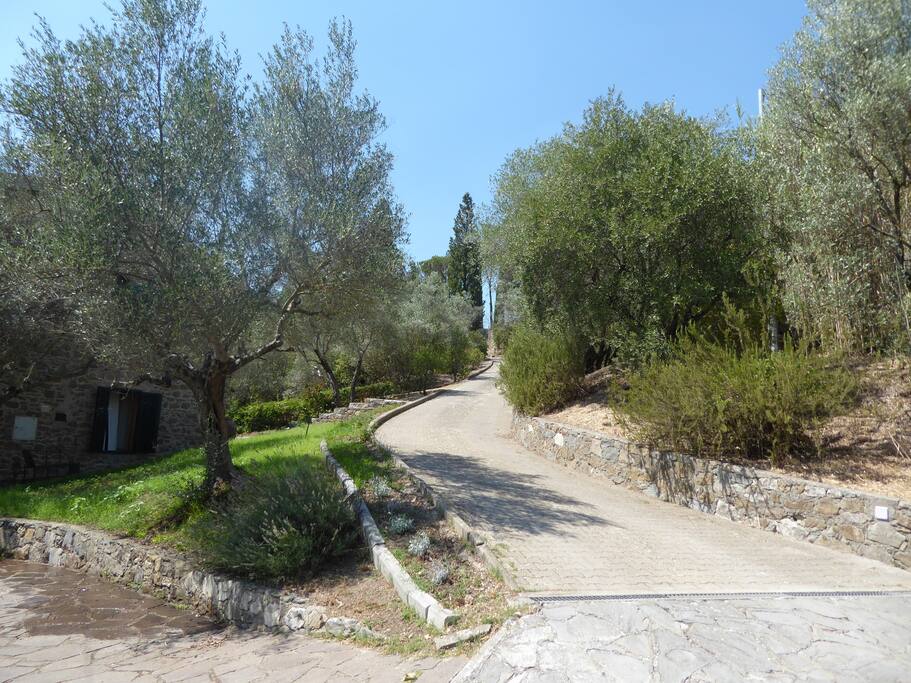 Il viale di accesso alla villa