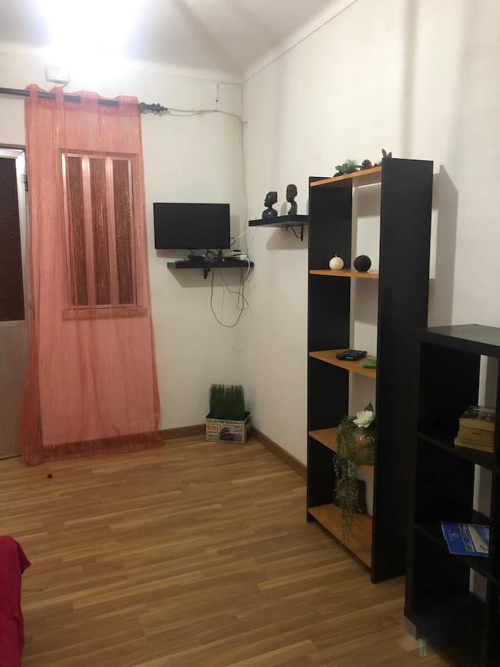 Séjour avec canapé-lit et TV