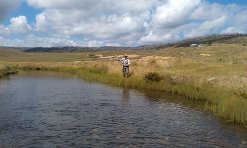 Snowy Mountains Alpine Cottages Cabins For Rent In Adaminaby