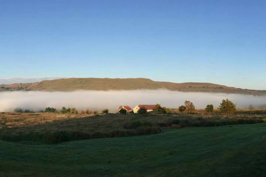 View from the house