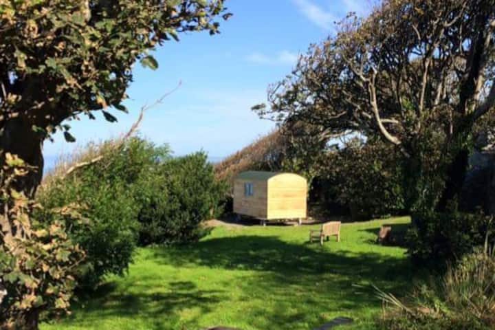 Hut site in Barnarobin