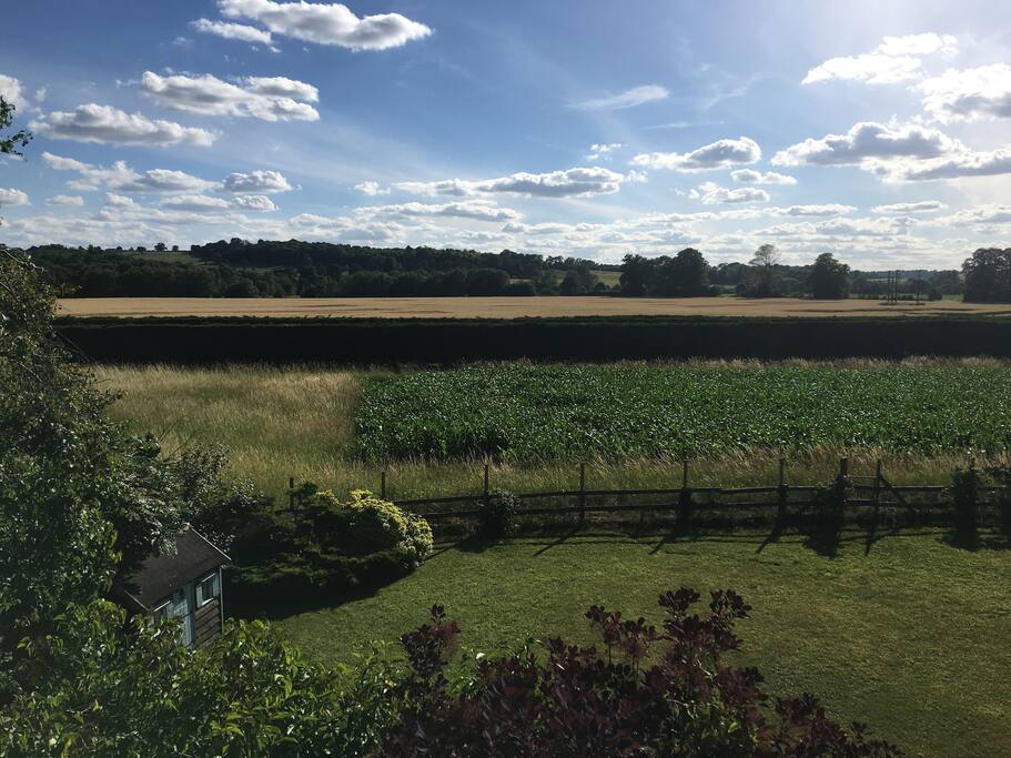 View looking towards the River Thames