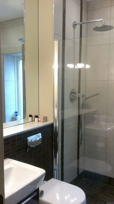 Ensuite shower and bathroom