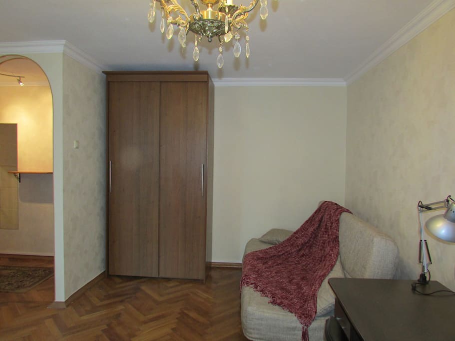 Комната, шкаф, раскладной диван на 2 места (200*160 см), рабочая зона
