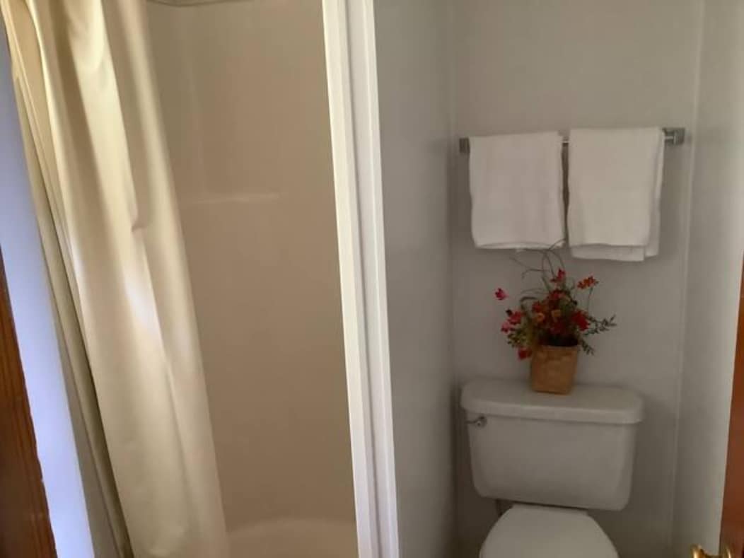 A compact bathroom features a small stand-in shower with a curtain, a toilet, and a sink area. Two white towels are neatly arranged on a bar, with a potted plant adding a touch of color to the space.