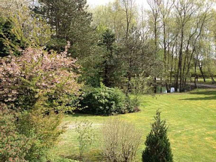 jardin paysagé