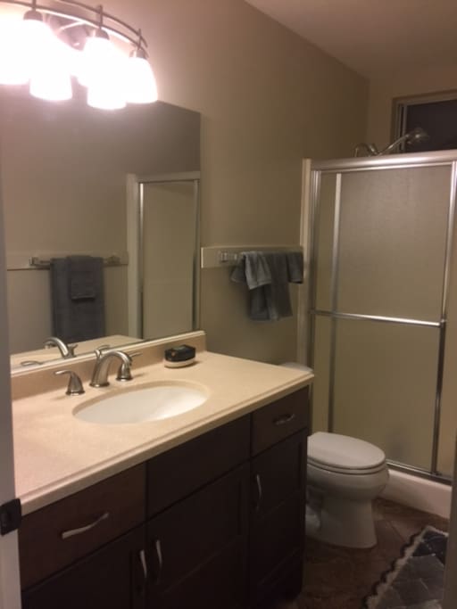 Private Bathroom p1