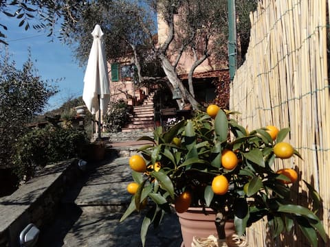 LA CASETTA DI VIVIANA - cod. 010046-LT-0284