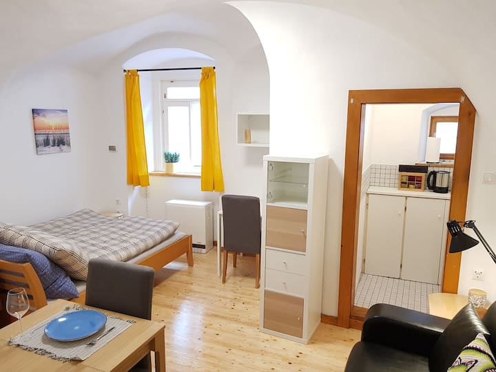 Comfortable apartment with garden in the center of Graz