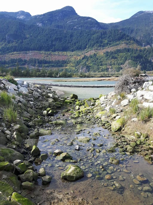 Estuary trail