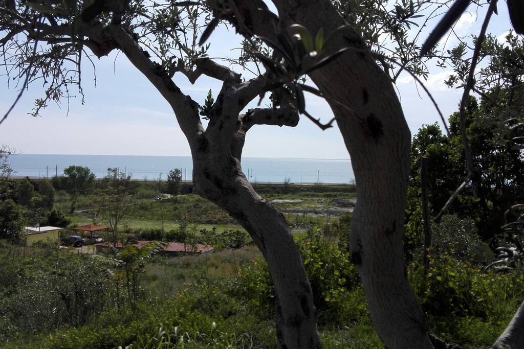 vista