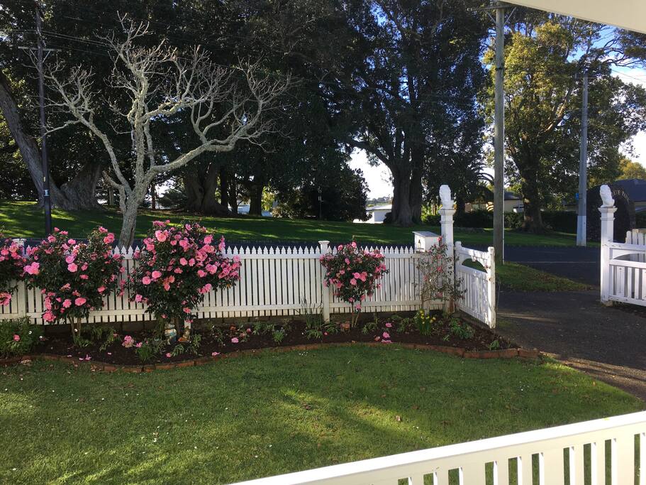 View from front porch to Jellicoe Park across the road