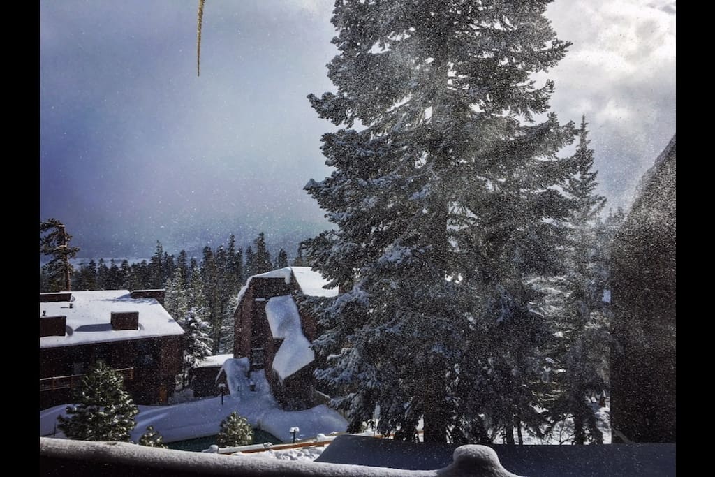 Gorgeous view of the winter storm.
