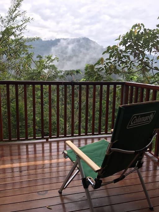 View of virgin forest from open deck