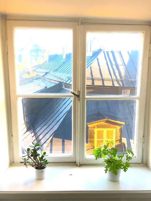 Window ledge overlookng square