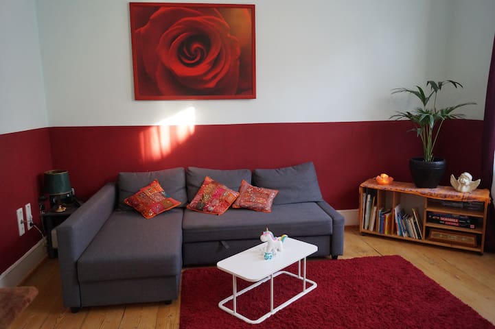 Bright, spacious room with a sofa bed